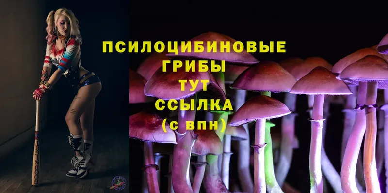 Галлюциногенные грибы Cubensis Выкса